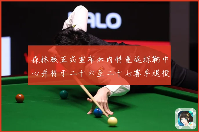 森林狼正式宣布加内特重返标靶中心并将于二十六至二十七赛季退役赛场复盘