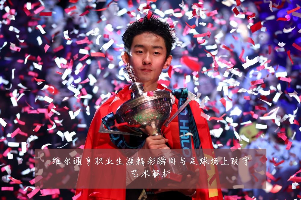 维尔通亨职业生涯精彩瞬间与足球场上防守艺术解析